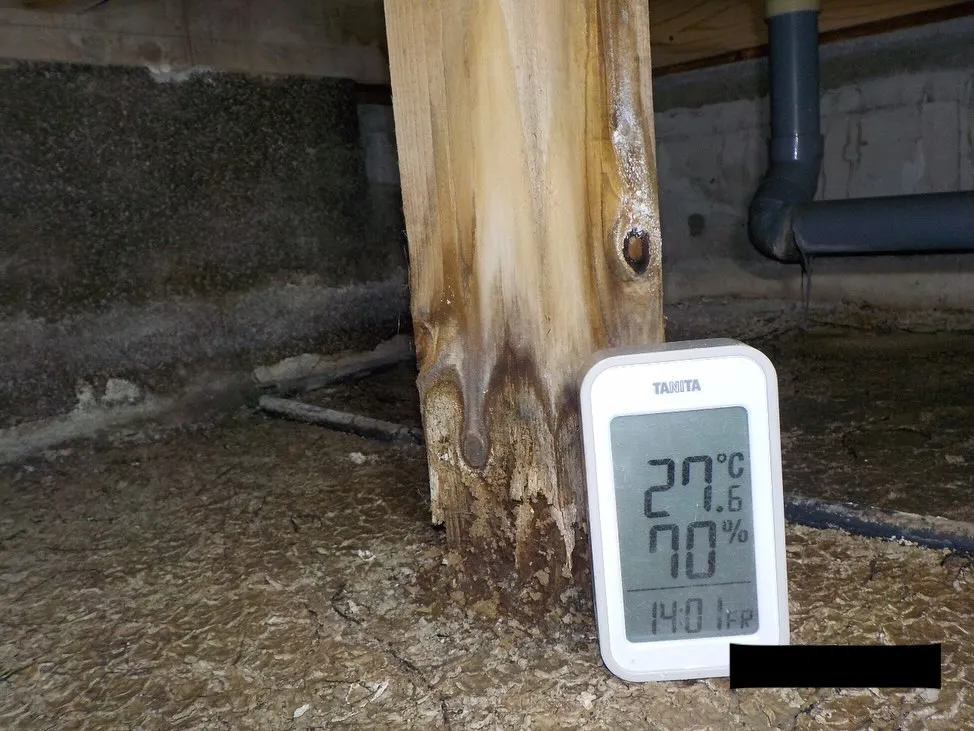 シロアリは暗く湿った場所を好み床下や壁の中などの木材が食い荒...