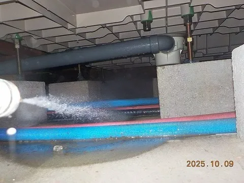 シロアリ駆除を行いました！