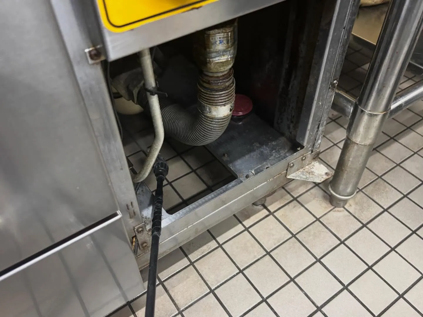 チャバネゴキブリは寒さに非常に弱く20度以下では活動が鈍り、...