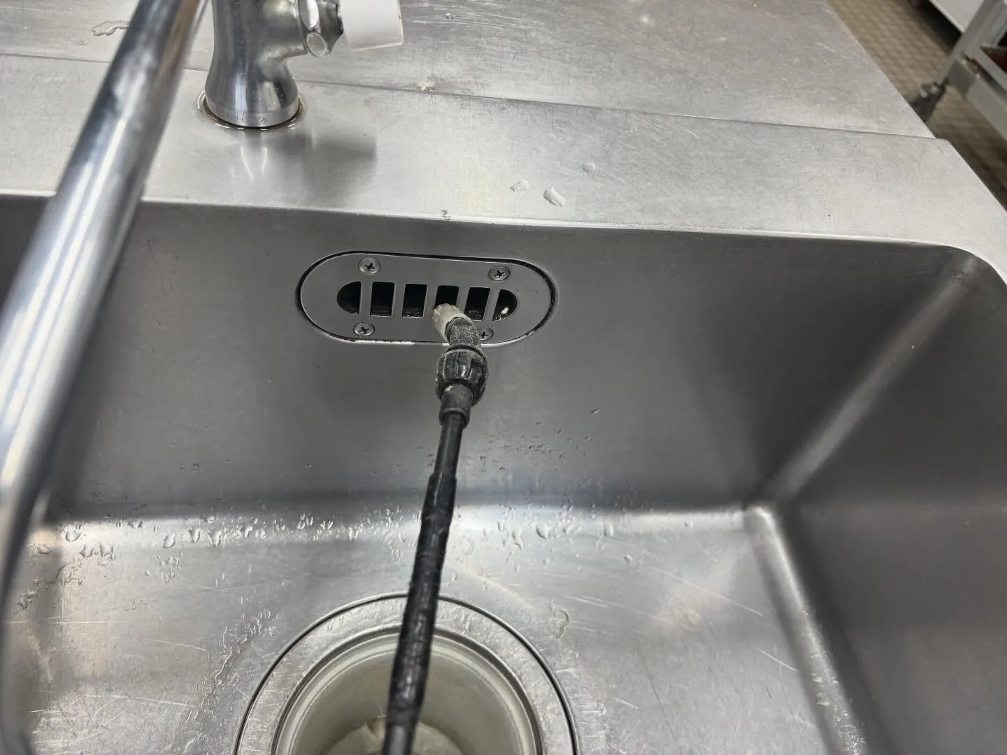 チャバネゴキブリは寒さに非常に弱く20度以下では活動が鈍り、...